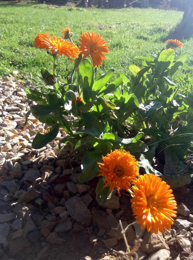 Agroturystyka U Maciejowej Villa Lanckorona Dış mekan fotoğraf