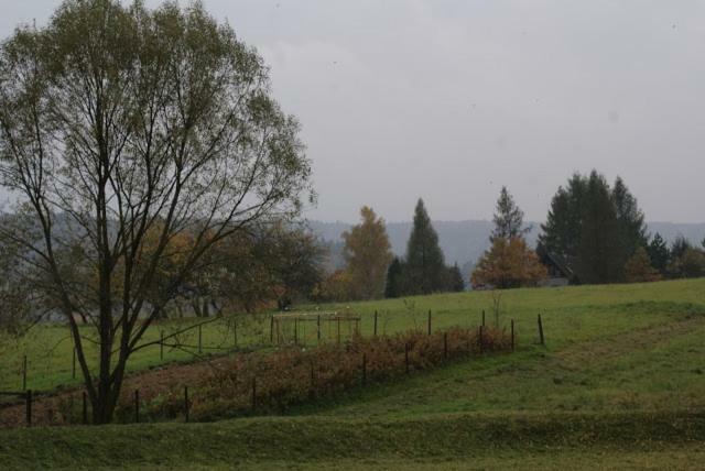 Agroturystyka U Maciejowej Villa Lanckorona Dış mekan fotoğraf