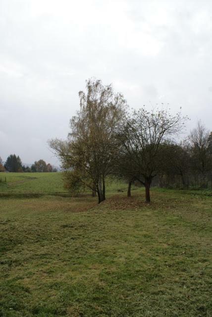 Agroturystyka U Maciejowej Villa Lanckorona Dış mekan fotoğraf