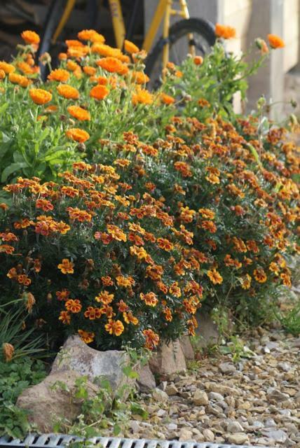 Agroturystyka U Maciejowej Villa Lanckorona Dış mekan fotoğraf